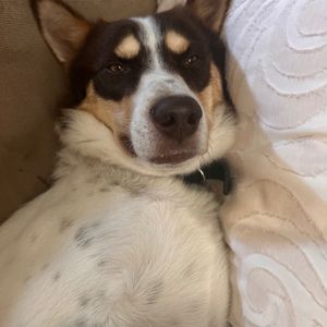 Meet your Posher, Tamara